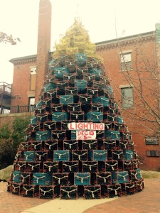 Christmas Tree In Gloucester MA 
